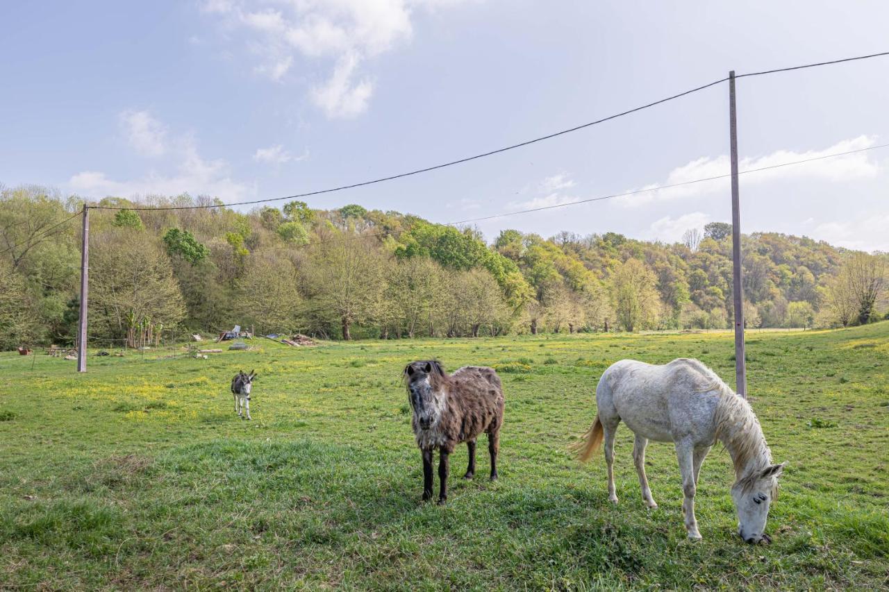 Gite Le Moulin Pocheluberry Bidache Экстерьер фото