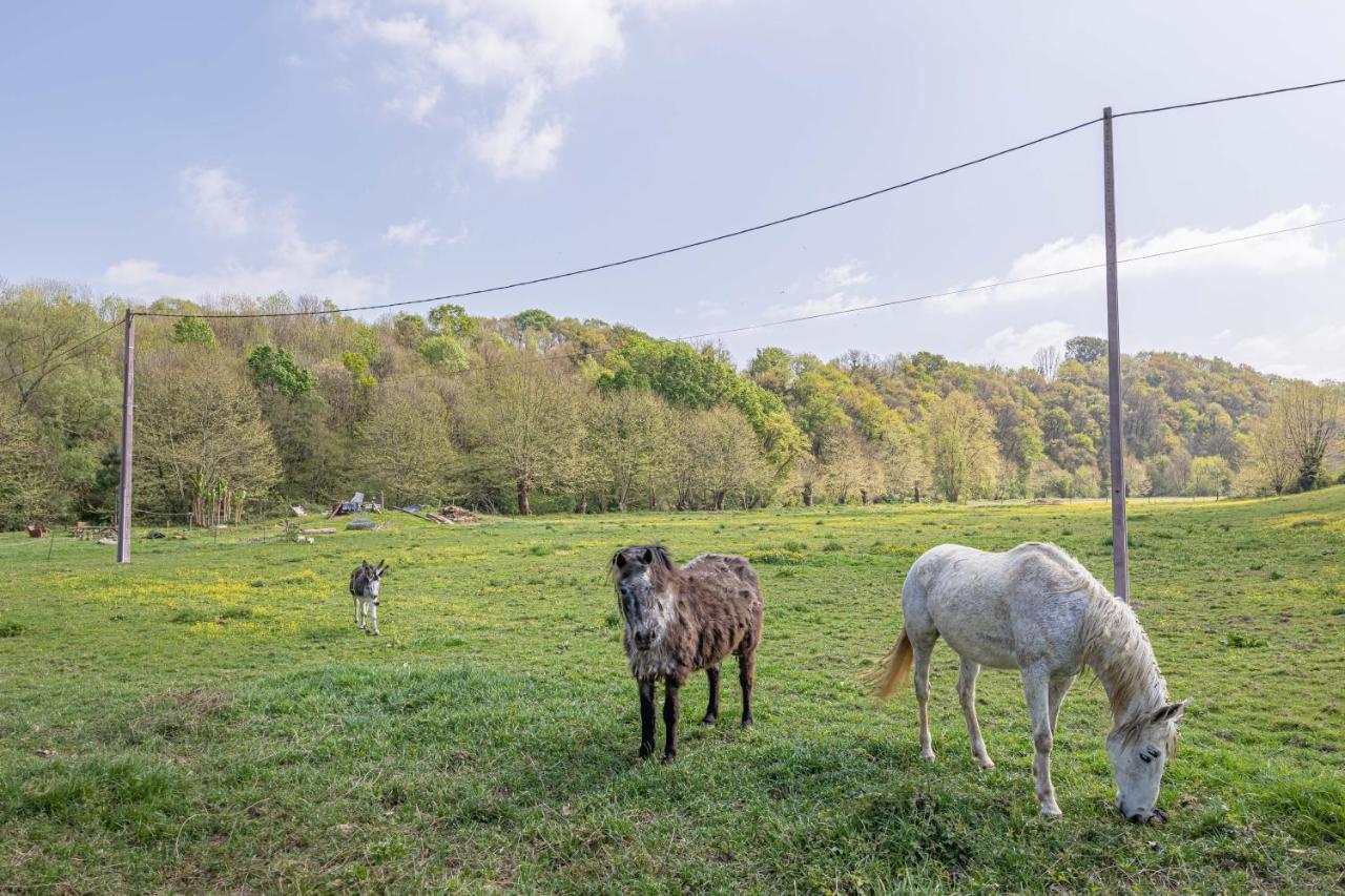 Вилла Gite Le Moulin Pocheluberry Bidache Экстерьер фото